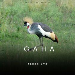 GAHA (feat. Flexx YTG)