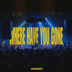 Where Have You Gone