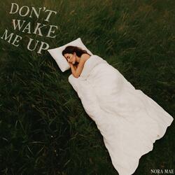 Don't Wake Me Up