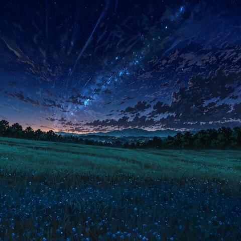 Starlit Field at Night