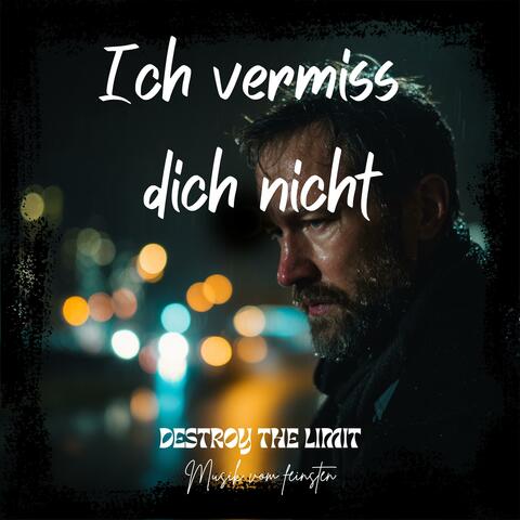 Ich vermiss dich nicht
