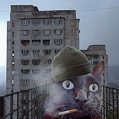 Bad Kitty