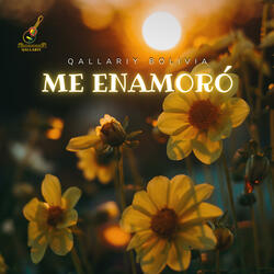 Me enamoró (Salay)