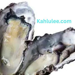 The World Is Our Oyster