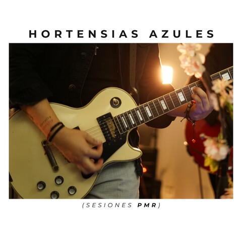 Hortensias Azules (Master Sessions PMR)