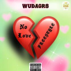 NO LOVE FREESTYLE