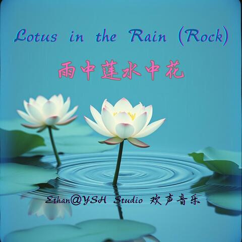 Lotus in the Rain 雨中莲水中花