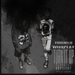 Turn It Up (feat. Liwhoplay)