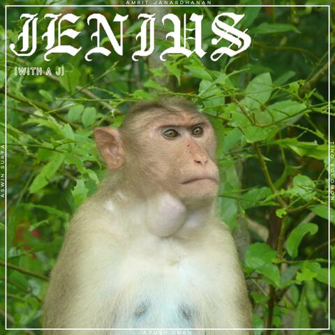 Jenius