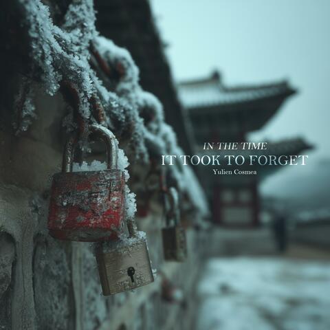 In the Time It Took to Forget