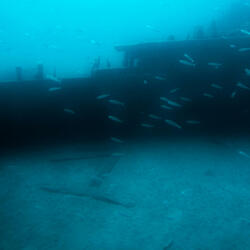 Why did you pay, the man in the lifeboat?