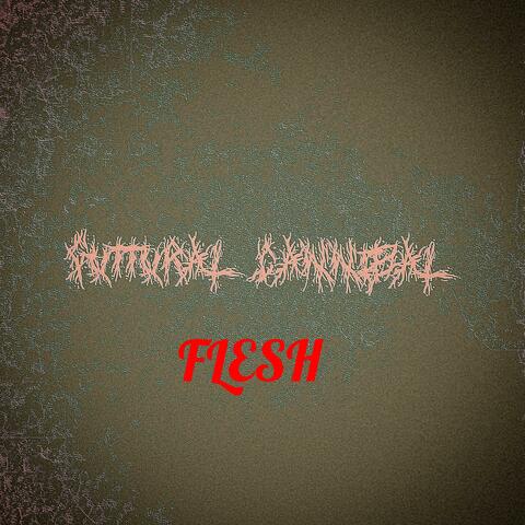 Flesh