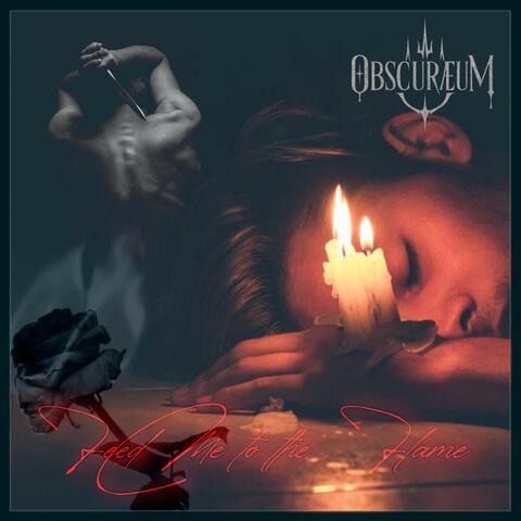 Feed Me To The Flame