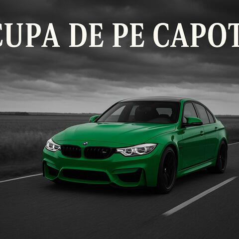 Cupa de pe capota