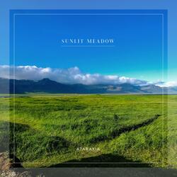 Sunlit Meadow
