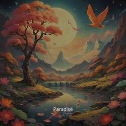 Lucid