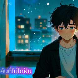 คืนที่ไม่ได้ฝัน