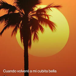 Cuando volveré