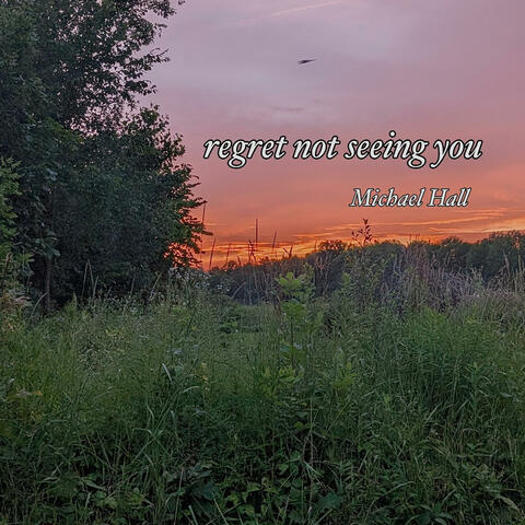 regret not seeing you