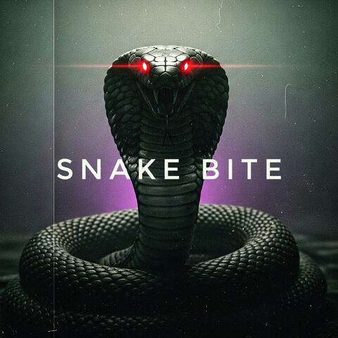 Snake Bite (Phonk)