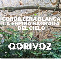 Cordillera Blanca – La Espina Sagrada del Cielo