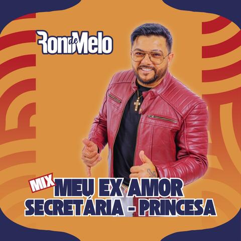 Meu Ex Amor - Secretária - Princesa