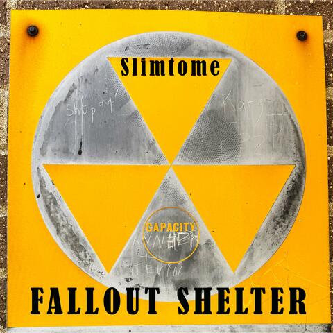 FALLOUT SHELTER 2.0