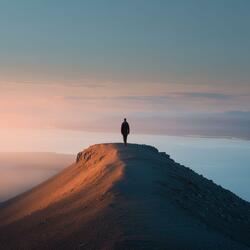 From Ashes To Paradise