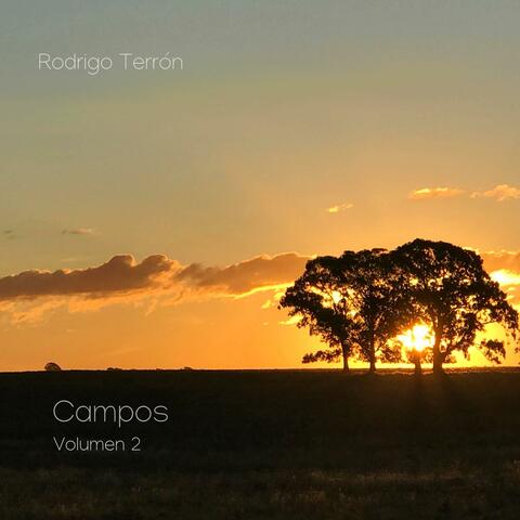 Campos, Vol. 2