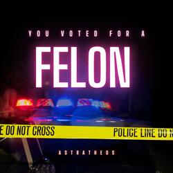 Voted For A Felon