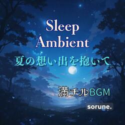 月光のやさしい道