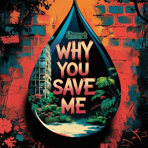 Why You Save Me