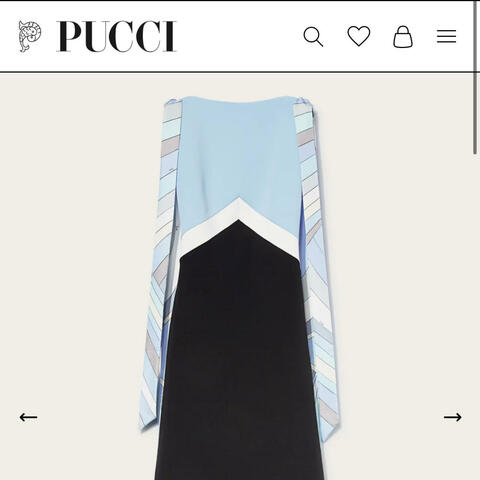Pucci Gown