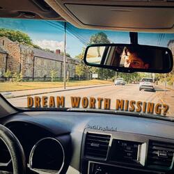 DREAM WORTH MISSING