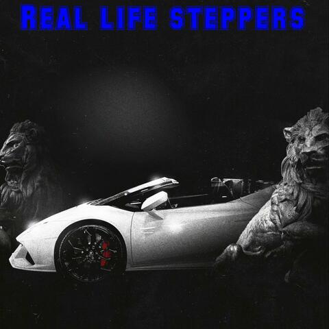 Real Life Steppers