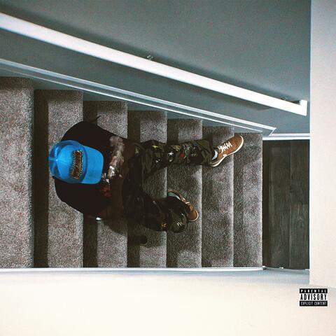 Return Of The Dolphin 2