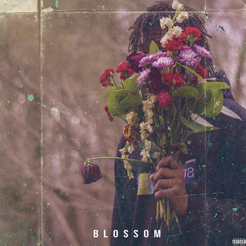 Blossom (Delluxe Edition)