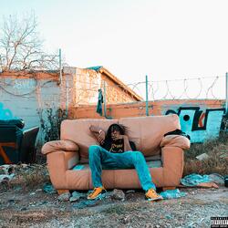 Dolphin Talk (Intro)