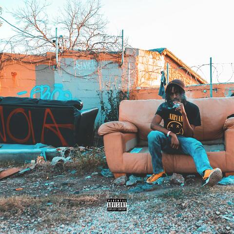 Return of the Dolphin