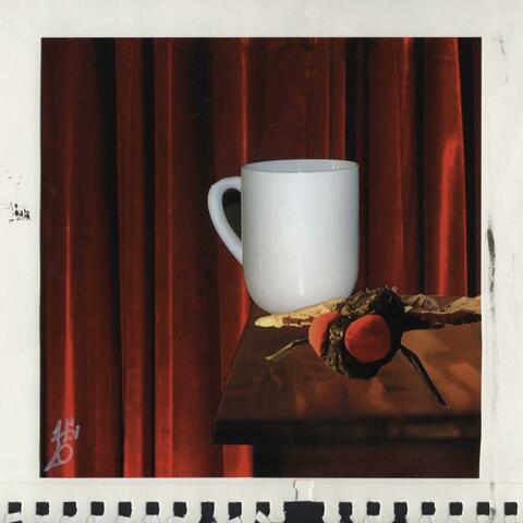 flies that love the smell of coffee