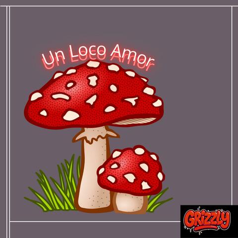 Un Loco Amor