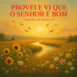 PROVEI E VI QUE O SENHOR É BOM