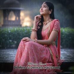 Dil Mere Tu Deewana Hai