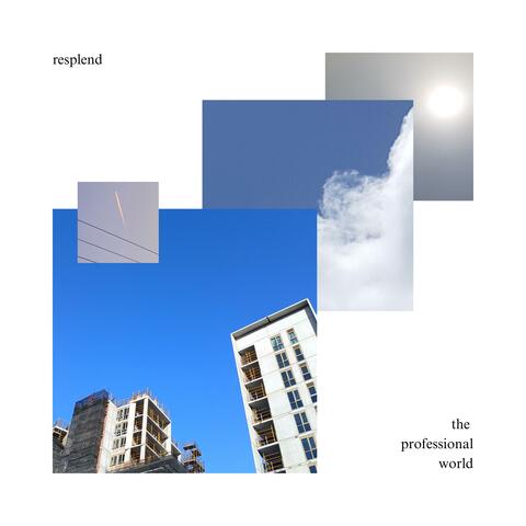 The Professional World