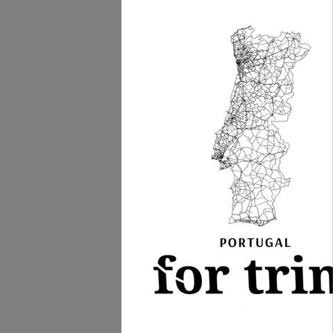 for trin (demo)