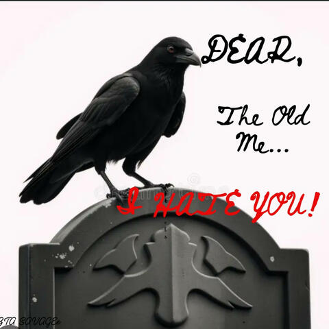 Dear,The Old Me....I Hate You!