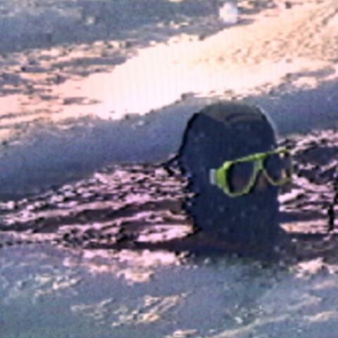 ice diving