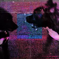 it's true (feat. Prophe-C)