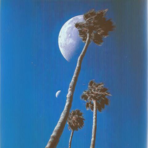 Imagined summers