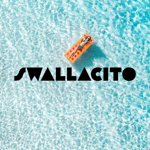Swallacito